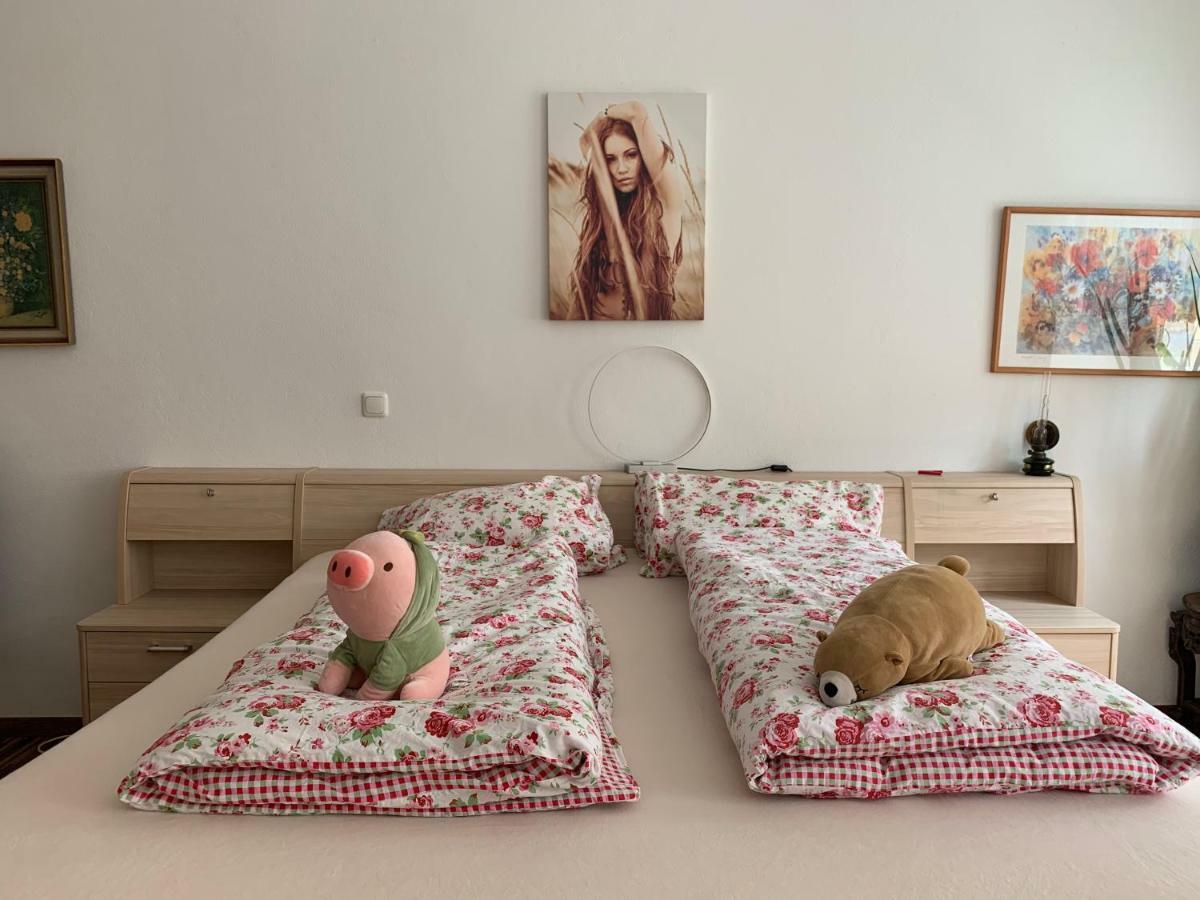 Ferienwohnung Annaberg-Buchholz Dış mekan fotoğraf